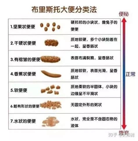 拉很多屎|大便次数增多，可能是身体的求救信号，关注这7种疾病！